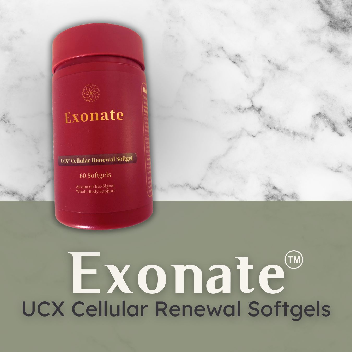 Exonate