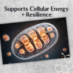 SkQ1 BioActive Antioxidant Complex