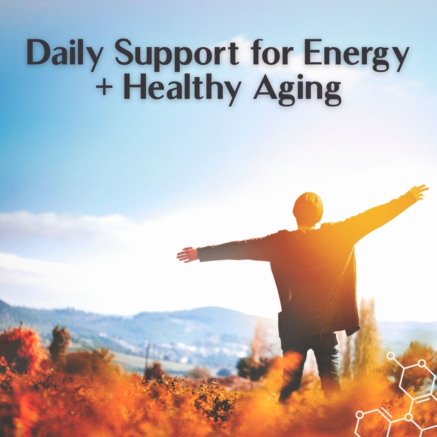 SkQ1 BioActive Antioxidant Complex