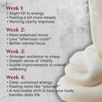 SkQ1 BioActive Antioxidant Complex