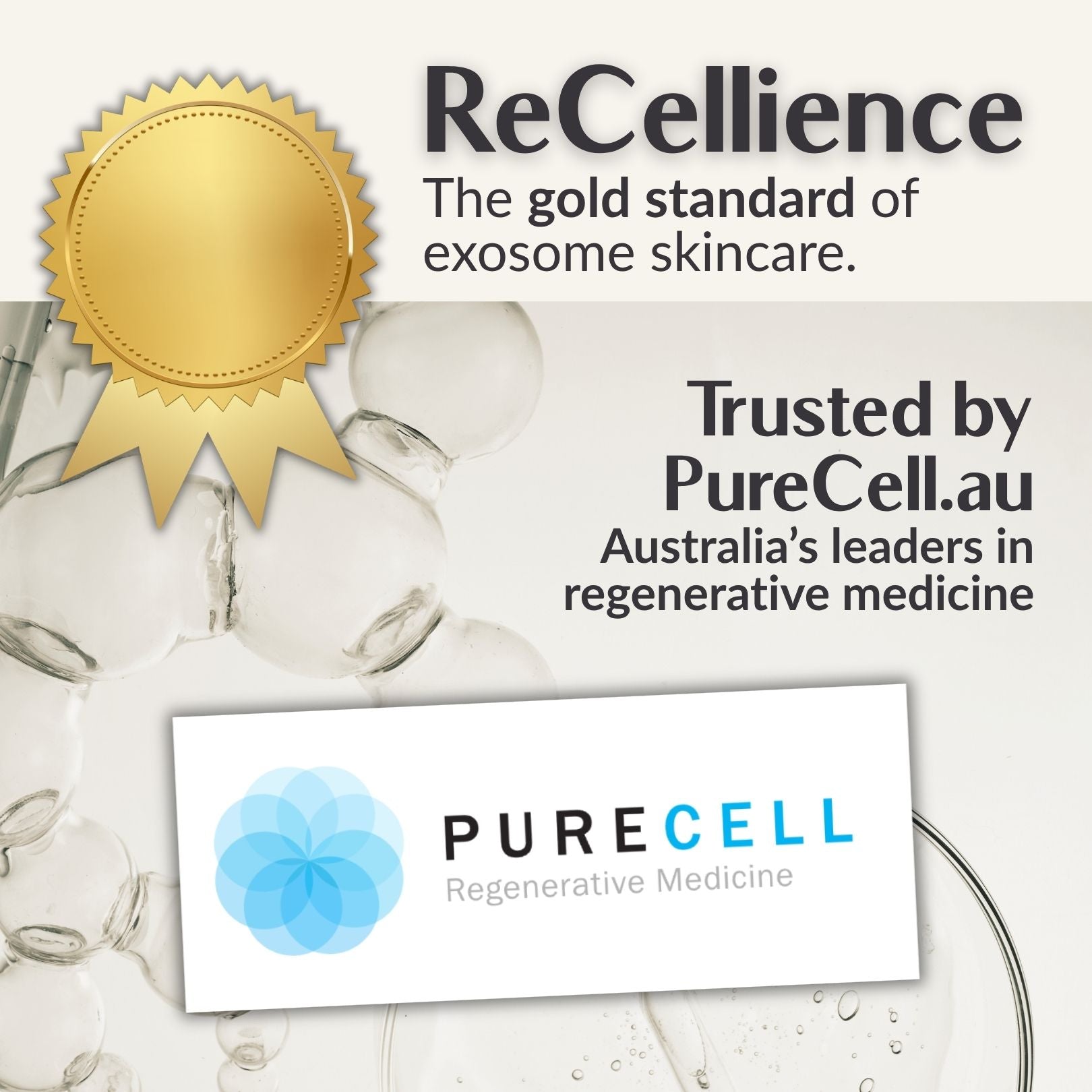 ReCellience ExoSilk
