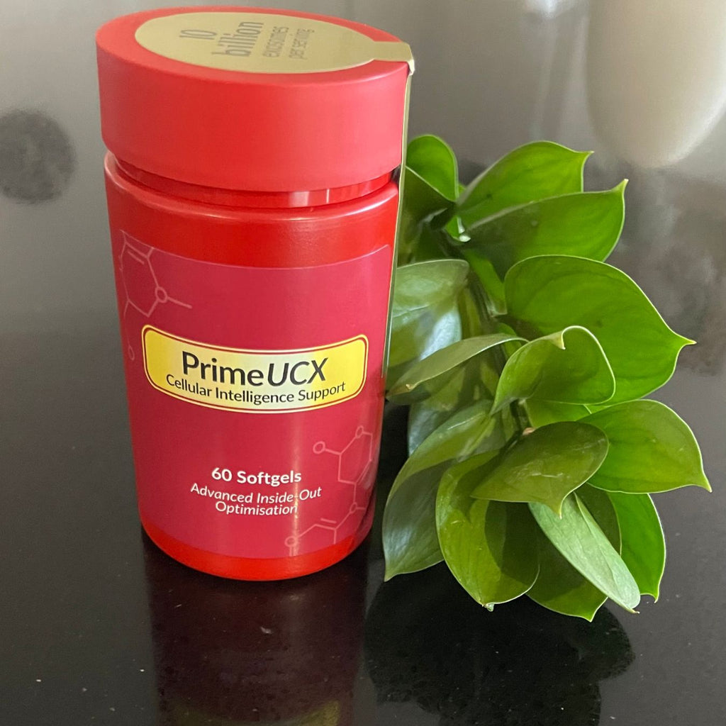 PrimeUCX